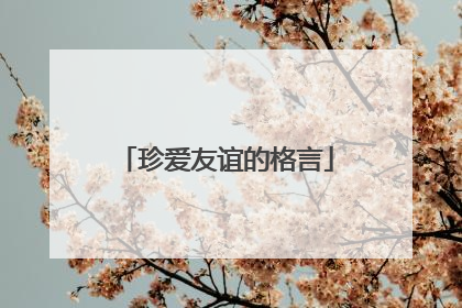 珍爱友谊的格言