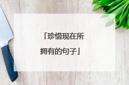 珍惜现在所拥有的句子