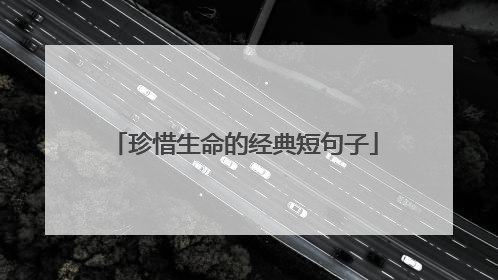 珍惜生命的经典短句子