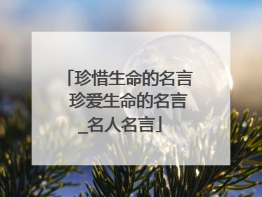 珍惜生命的名言 珍爱生命的名言_名人名言