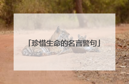 珍惜生命的名言警句
