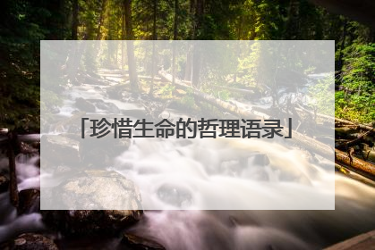 珍惜生命的哲理语录