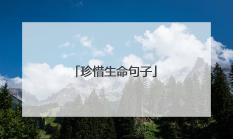珍惜生命句子