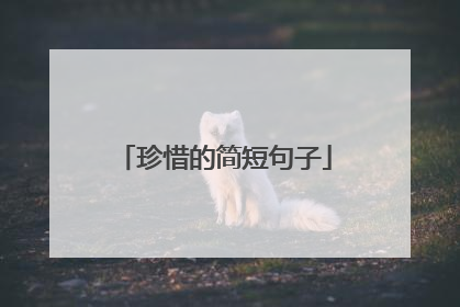 珍惜的简短句子