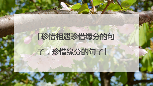 珍惜相遇珍惜缘分的句子,珍惜缘分的句子