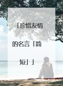 珍惜友情的名言「简短」