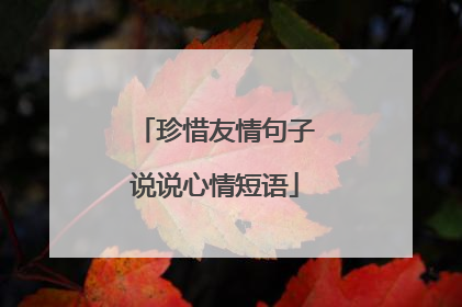 珍惜友情句子说说心情短语