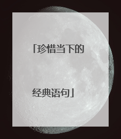 珍惜当下的经典语句