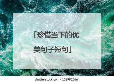珍惜当下的优美句子短句