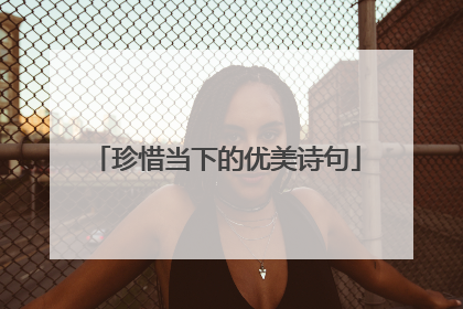 珍惜当下的优美诗句