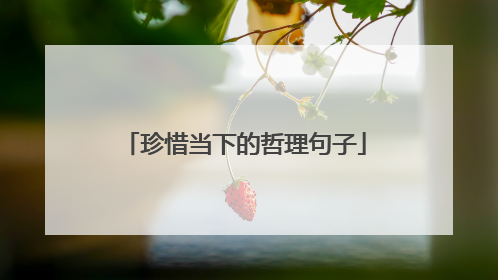 珍惜当下的哲理句子