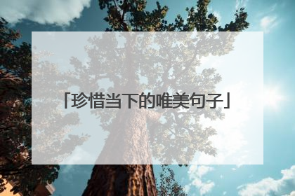 珍惜当下的唯美句子