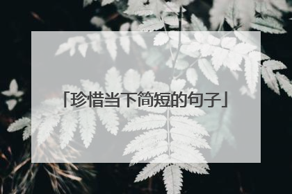 珍惜当下简短的句子