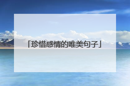 珍惜感情的唯美句子