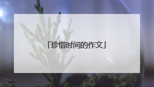 珍惜时间的作文