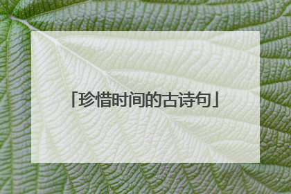 珍惜时间的古诗句