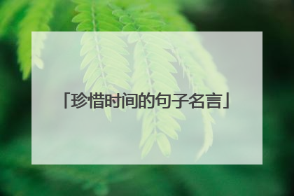 珍惜时间的句子名言