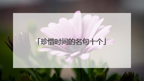珍惜时间的名句十个