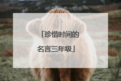 珍惜时间的名言三年级