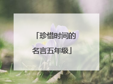 珍惜时间的名言五年级