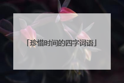 珍惜时间的四字词语