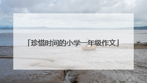 珍惜时间的小学一年级作文