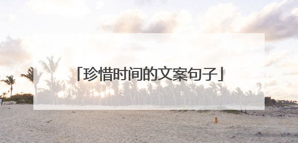 珍惜时间的文案句子