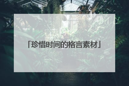 珍惜时间的格言素材