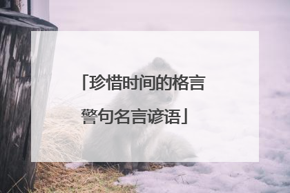 珍惜时间的格言警句名言谚语
