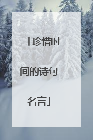 珍惜时间的诗句名言