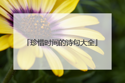 珍惜时间的诗句大全