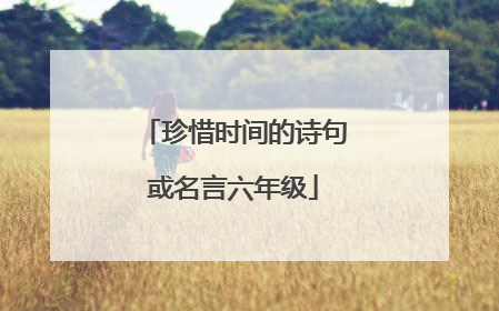 珍惜时间的诗句或名言六年级
