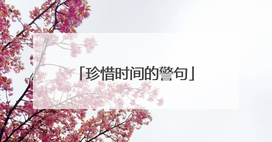 珍惜时间的警句