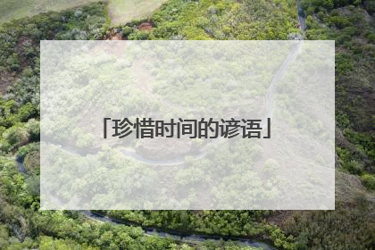 珍惜时间的谚语
