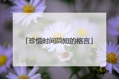 珍惜时间简短的格言