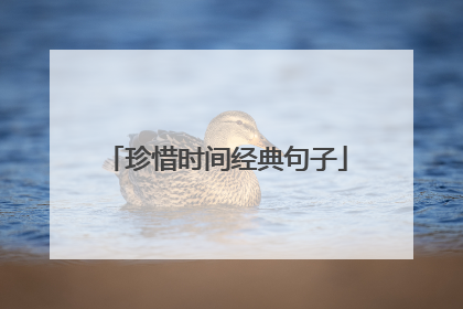 珍惜时间经典句子