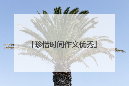 珍惜时间作文优秀