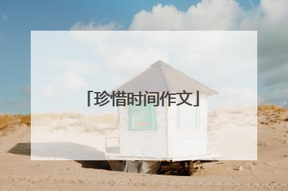 珍惜时间作文
