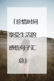 珍惜时间享受生活的感悟句子汇总