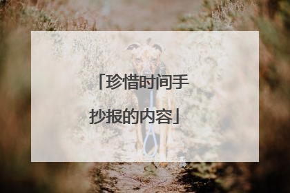 珍惜时间手抄报的内容