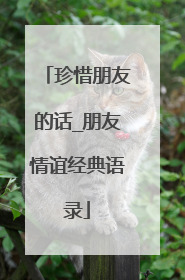 珍惜朋友的话_朋友情谊经典语录