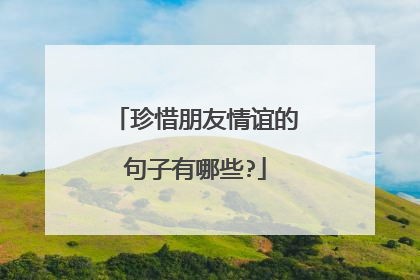 珍惜朋友情谊的句子有哪些?