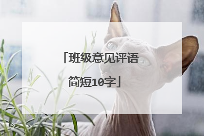 班级意见评语简短10字
