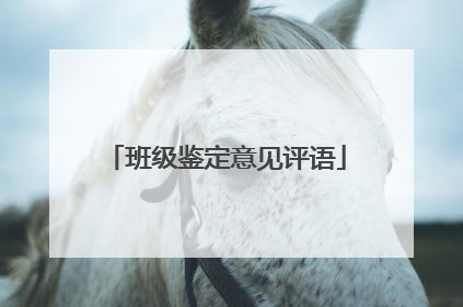 班级鉴定意见评语