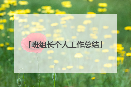 班组长个人工作总结