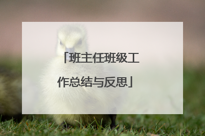 班主任班级工作总结与反思