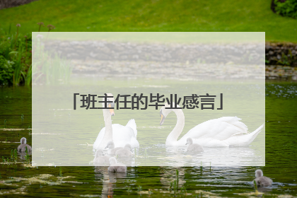 班主任的毕业感言