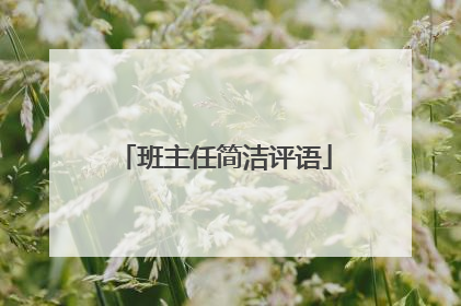 班主任简洁评语