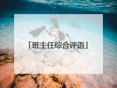 班主任综合评语