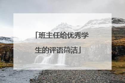 班主任给优秀学生的评语简洁